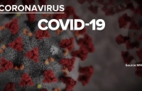 virus corona thành covid 19