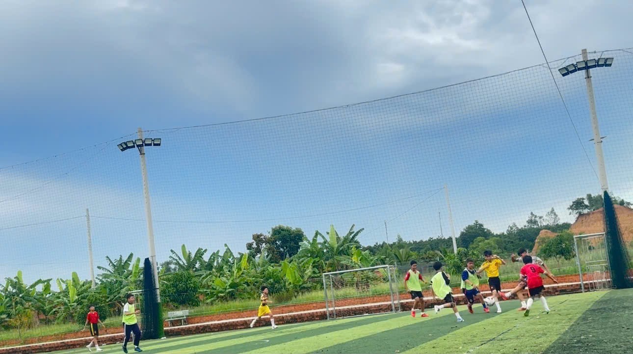 doi bong lua tuoi lon